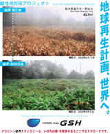 �_���J�΍�